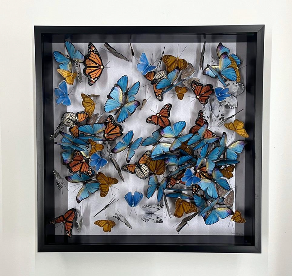 Daniel Byrne – Contemporary Mixed Media Wildlife Artist