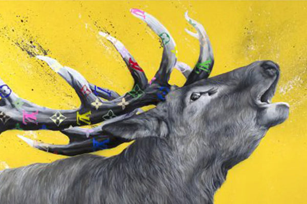 Animals