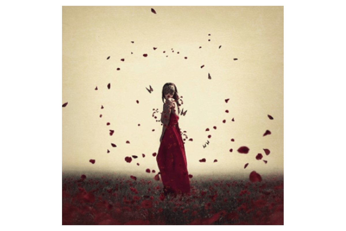 Michelle Mackie | Blind Beauty