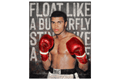 Monica Vincent | Float Like A Butterfly