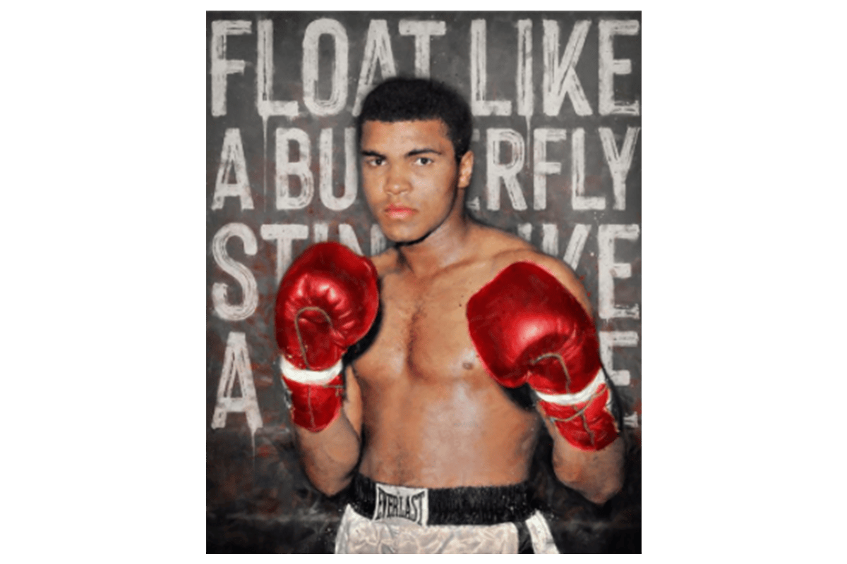 Monica Vincent | Float Like A Butterfly