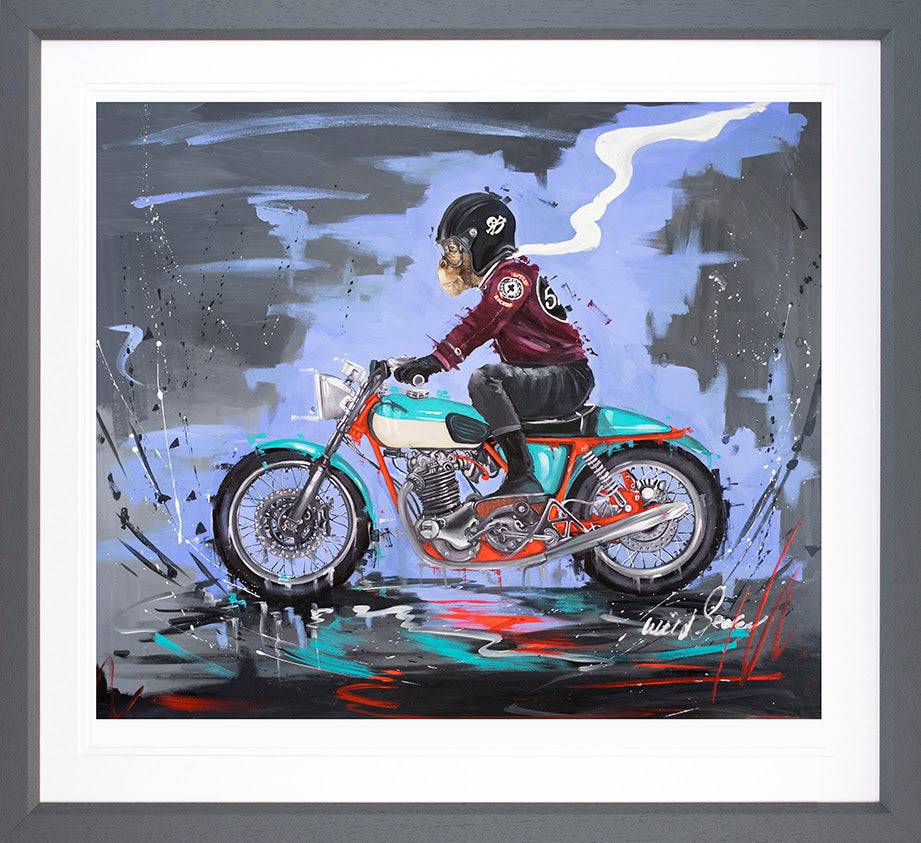 Wild Seeley | Wild Rocker