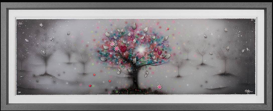 Kealey Farmer | Shine