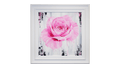 Dean Martin | A Pink Rose