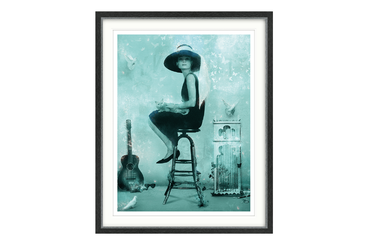 Mark Davies | Free Spirit Colour