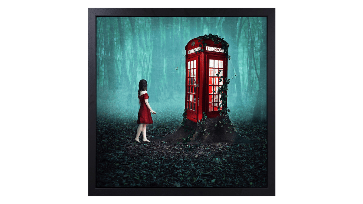 Michelle Mackie | If You Go Down To The Woods Today